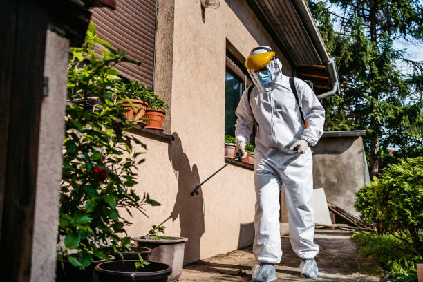 Best Local Pest Control Services  in Waupun, WI