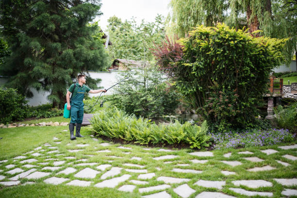 Best Pest Control Near Me  in Waupun, WI