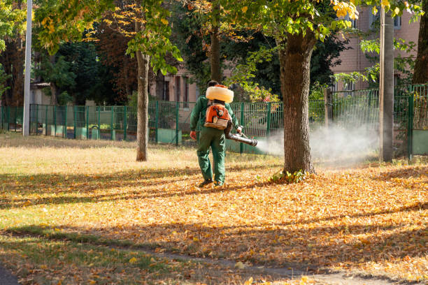 Wasp Removal Services in Waupun, WI